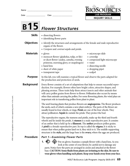 448730336-inquiry-skills-b15-flower-structures-bmrcroftbbcomb