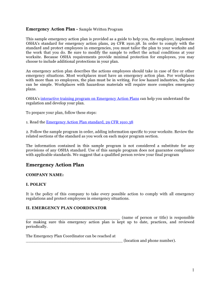 452780988-emergency-action-plan-template-brown-amp-brown-public-risk