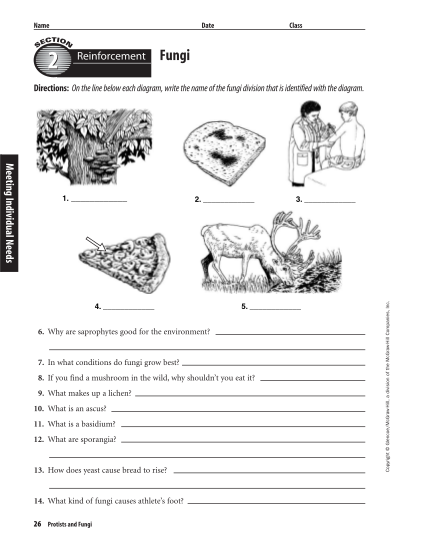 456377438-reinforcement-email-template-form