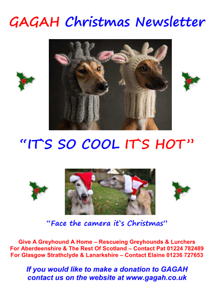 457237150-gagah-christmas-newsletter-it-s-so-cool-it-s-hot-gagah-co