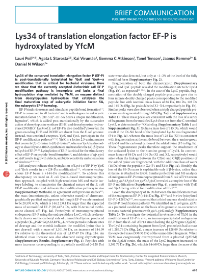 45960678-lys34-of-translation-elongation-factor-ef-p-is-hydroxylated-by-yfcm-nature-chemical-biology-8-695-2012-doi-wilson-genzentrum-lmu