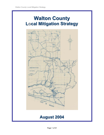 463824192-walton-county-looccal-mitigation-strategy-august-b2004b-co-walton-fl