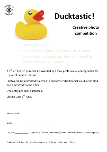 469833321-buy-a-duck-for-2-be-painted-dressed-up-photoshopped-or-hearsall-coventry-sch