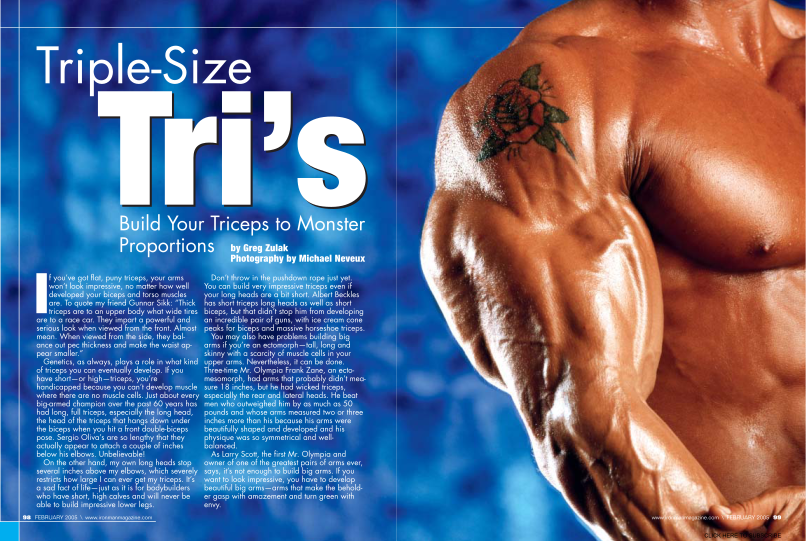 484487811-ironman-magazines-bodybuilding-success-blueprint-triple-size-tris-thats-how-to-build-your-triceps-to-monster-proportions