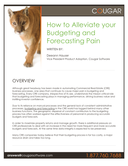484508577-how-to-alleviate-your-budgeting-and-forecasting-pain