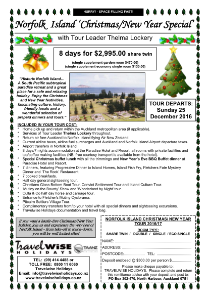 484829457-space-filling-fast-norfolk-island-christmasnew-year-travelwiseholidays-co