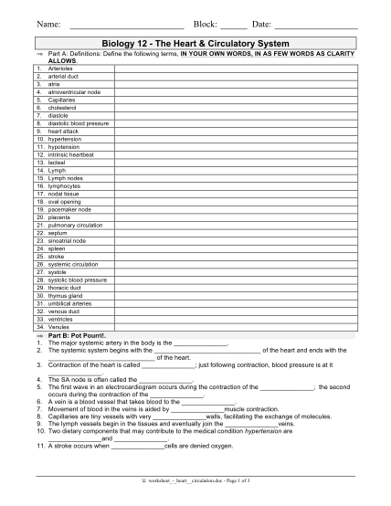 485045398-worksheet-heartcirculation