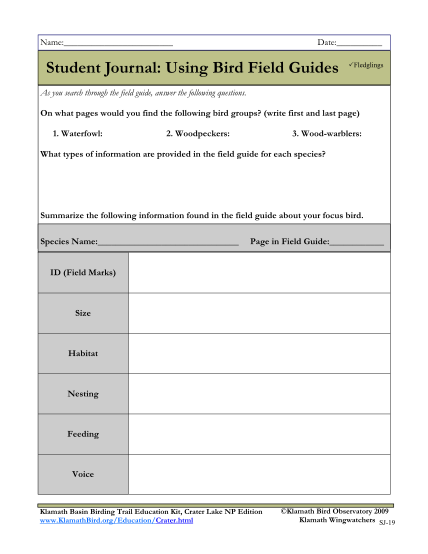 487880781-student-journal-using-bird-field-guides-fledglings