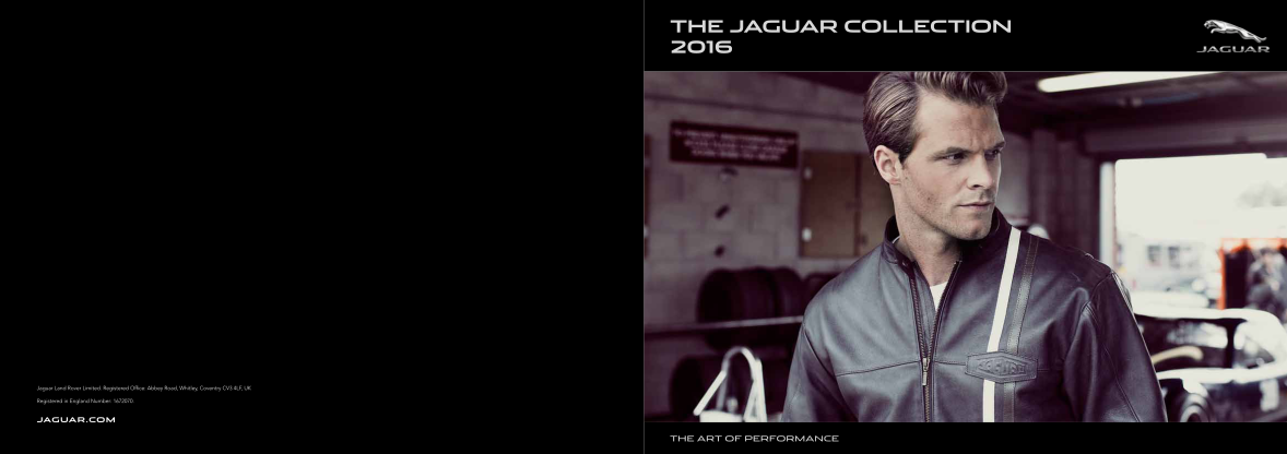 489369700-the-jaguar-collection-jaguar