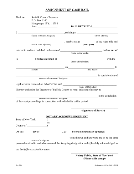 Bail Bonds Receipt Fill Out And Sign Printable Pdf Template Signnow 