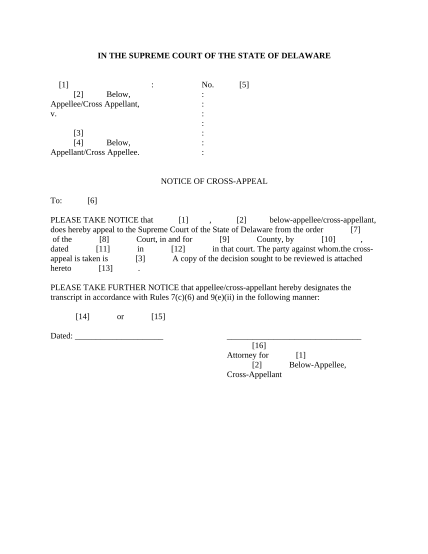 497302312-notice-of-cross-appeal-delaware