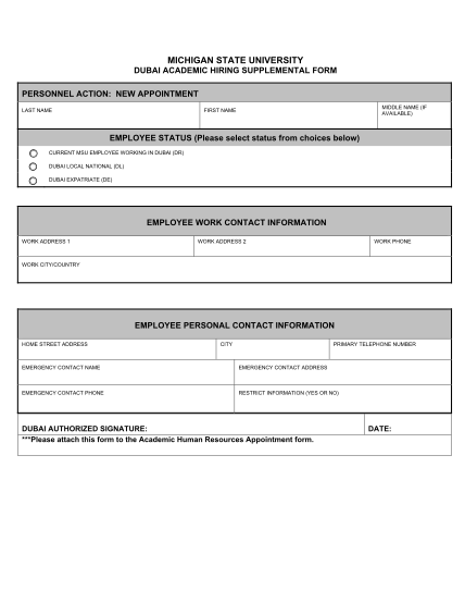 49731566-copy-of-dubai-academic-appointment-form-michigan-state-hr-msu