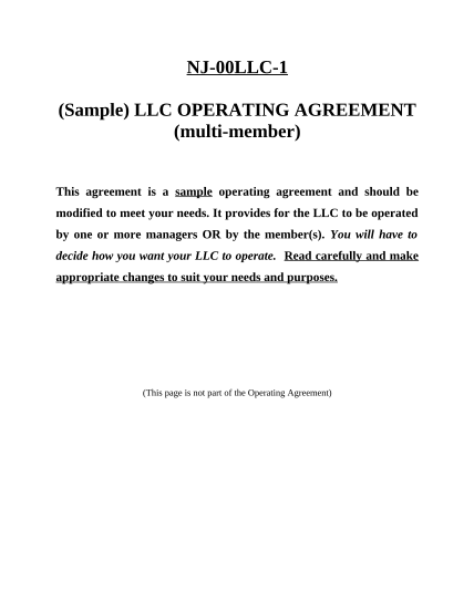 497319079-nj-llc