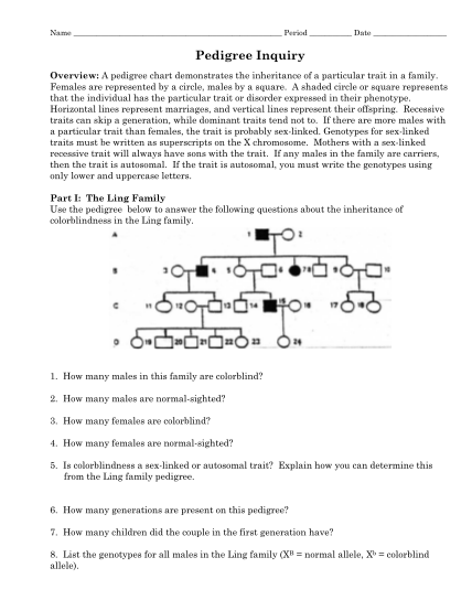 41-pedigrees-practice-worksheet-answers-worksheet-information