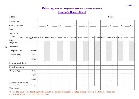 513642981-appendix-vi-primary-school-physical-fitness-award-scheme