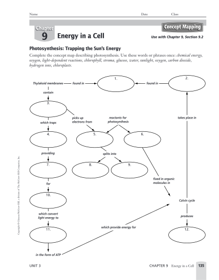 515448054-concept-map-cell-energy-answers