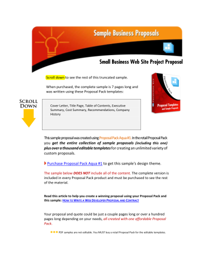 516465335-small-business-web-site-project-proposal