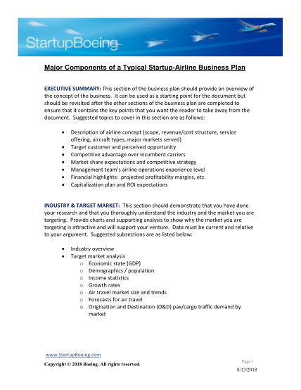 516523801-airline-business-plan-example