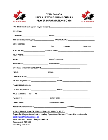 51935429-fillable-online-player-information-form