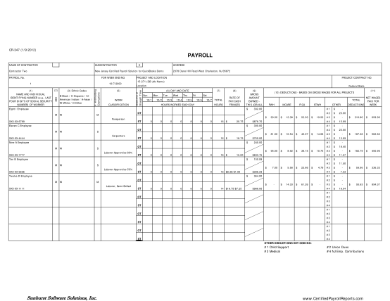 519649178-payroll-sunburst-software-solutions-inc