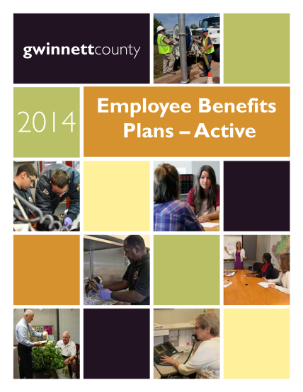 52438257-employee-benefits-plans-active-gwinnett-county