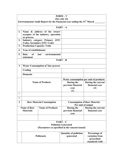 54195802-form-v-see-rule-14-environmental-audit-report-for-the