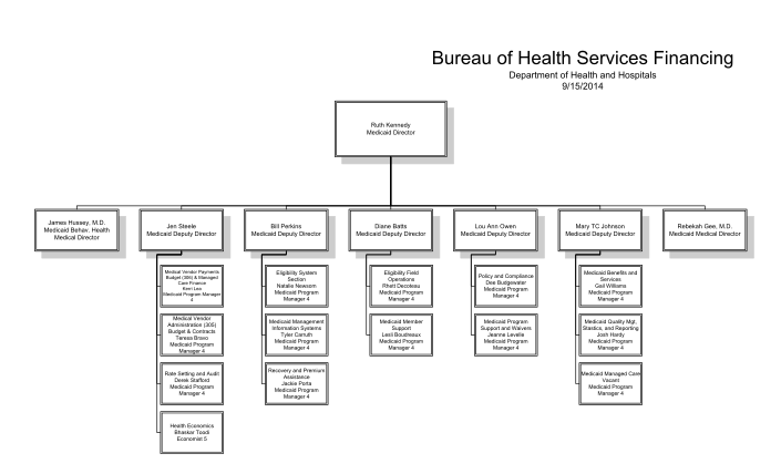 64 typical hospital organizational chart page 2 - Free to Edit ...