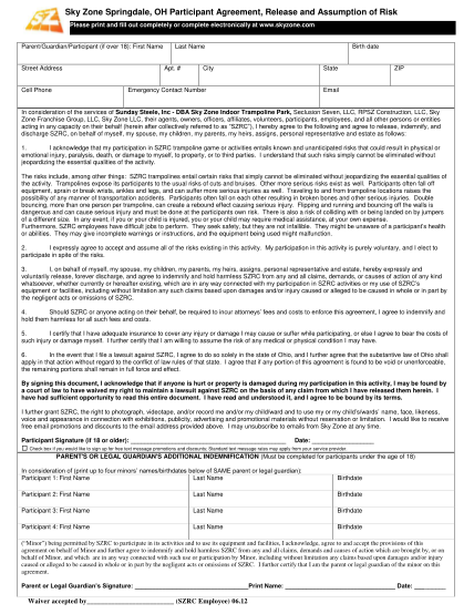 28-risk-issue-log-template-free-to-edit-download-print-cocodoc