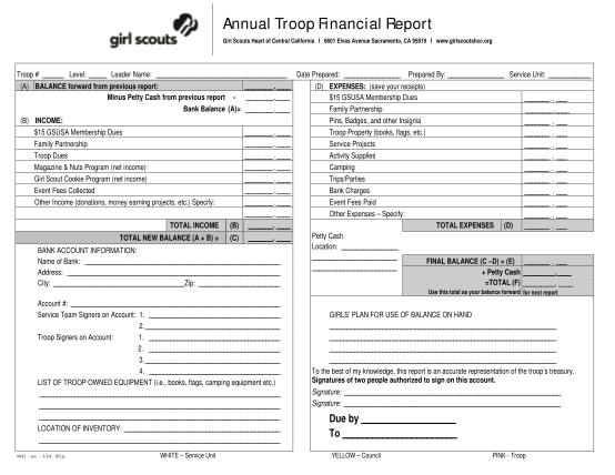 58223021-fillable-annual-troop-financial-report-girl-scouts-form
