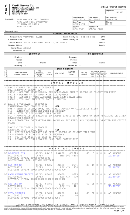 59752206-sample-report-credit-service-company