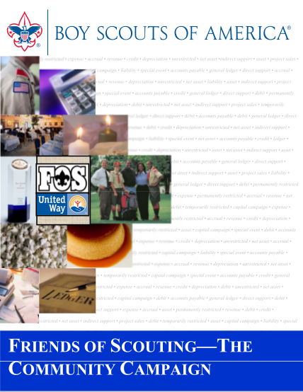 64292754-friends-of-scoutingthe-community-campaign-boy-scouts-of-america-ntier