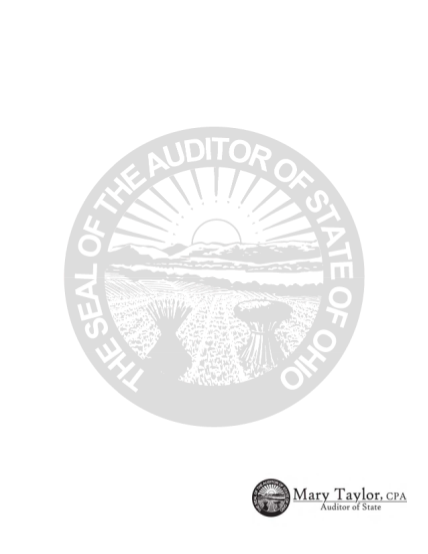 6457276-village-of-wellsville-columbiana-county-regular-audit-for-the-year-ended-december-31-2004-village-of-wellsville-columbiana-county-table-of-contents-title-page-independent-accountants-report-auditor-state-oh