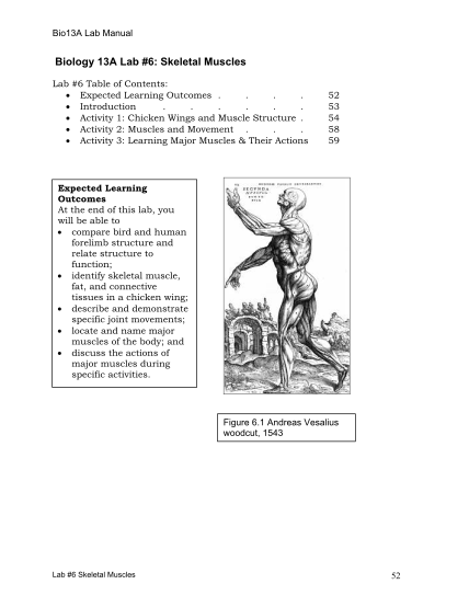 66035293-biology-13a-lab-6-skeletal-muscles-gcisd-k12