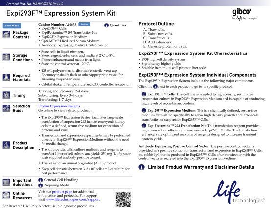 67542321-expi293f-expression-system-kit-the-expi293-expression-system-facilitates-large-scale-transfection-of-suspension-293-human-embryonic-kidney-cells-in-a-defined-serum-medium-for-expression-of-proteins-and-virus