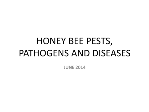69974972-pests-and-diseases-pam-levitt-lcbaor