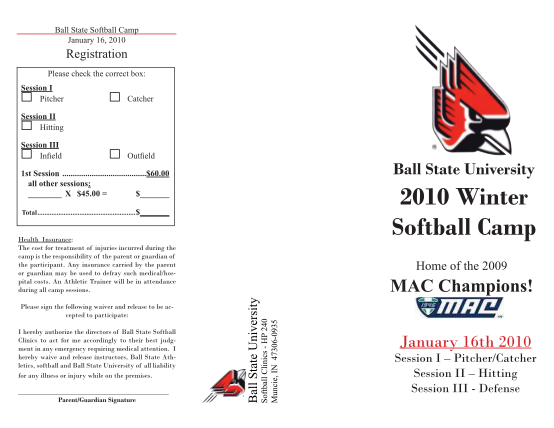 70204328-softball-team-brochure-template
