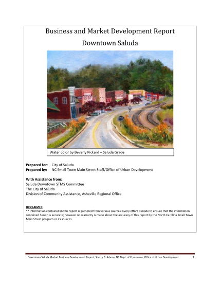 70697700-business-and-market-development-report-downtown-saluda