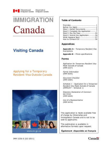 7172303-fillable-fillable-online-additional-information-form-canada-visa