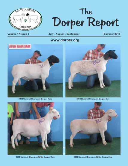 72808046-dorper-report-american-dorper-sheep-breedersamp39-society-dorper