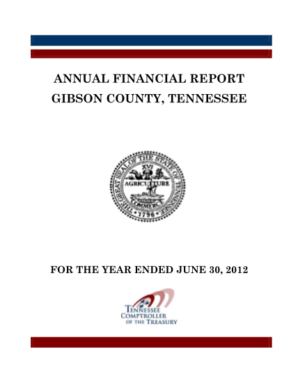 73059843-annual-financial-report-bgibson-countyb-tennessee-comptroller-tn