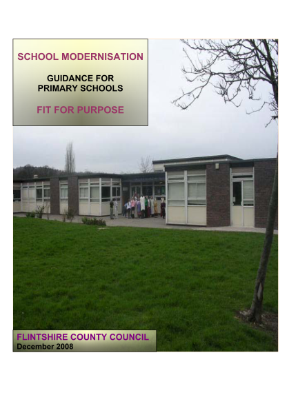 73090353-f4p-primary-schools-document-december-2008-flintshire-county