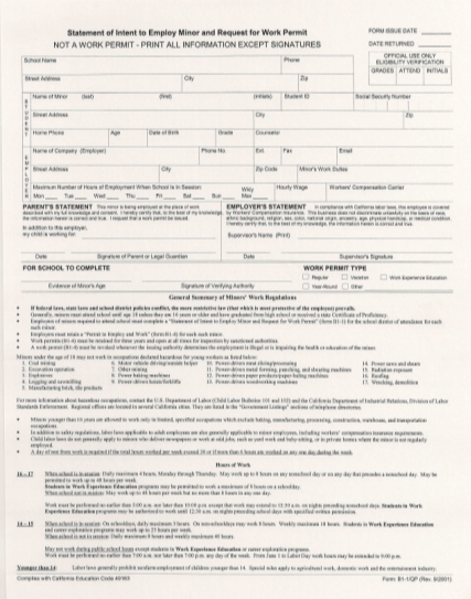 7397406-fillable-download-work-permit-application-form-mdusd