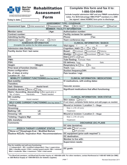 8295458-fillable-bcn-rehabilitation-assessment-form