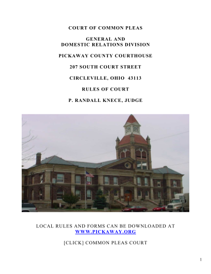 8366806-fillable-pickaway-county-domestic-relations-court-forms-pickaway