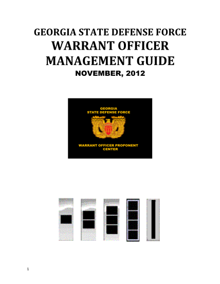 8374934-fillable-georgia-state-defense-force-warrant-officer-form