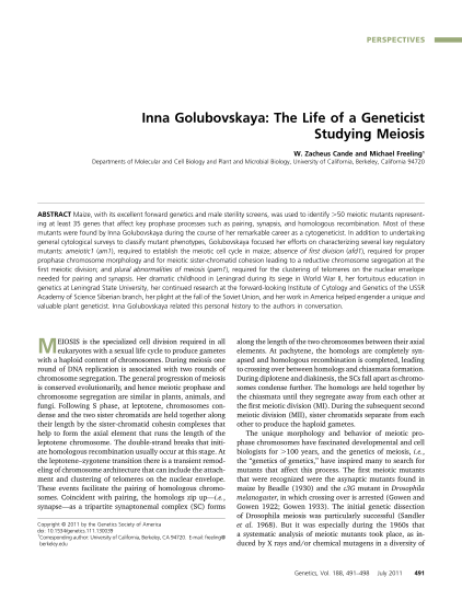 8453042-inna-golubovskaya-the-life-of-a-geneticist-studying-genetics-genetics