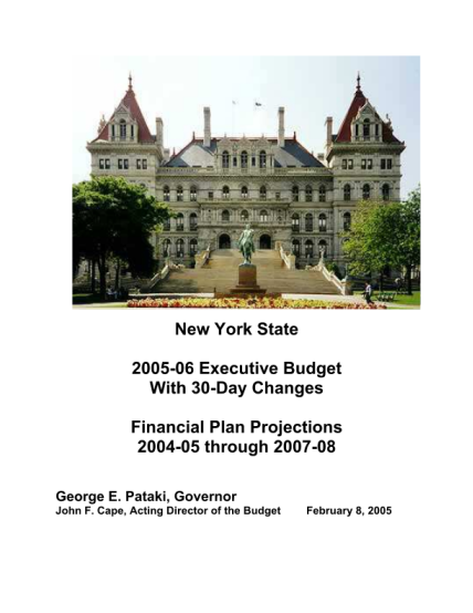 87906443-2005-06-executive-budget-with-30-day-changes-financial-plan-porjections-2004-05-through-2007-08