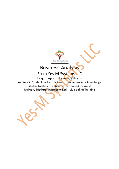88043651-business-analysis-yes-m-systems
