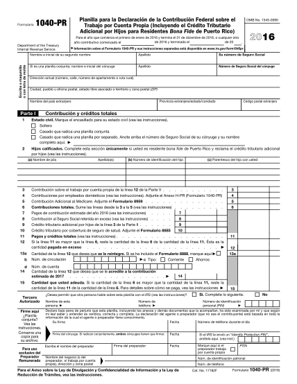 8998737-fillable-2013-2013-form-1040-pr-irs