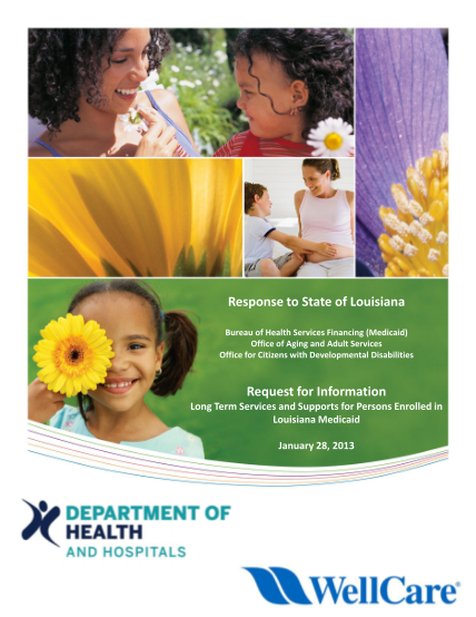 90943253-response-to-state-of-louisiana-request-for-information-dhh-louisiana